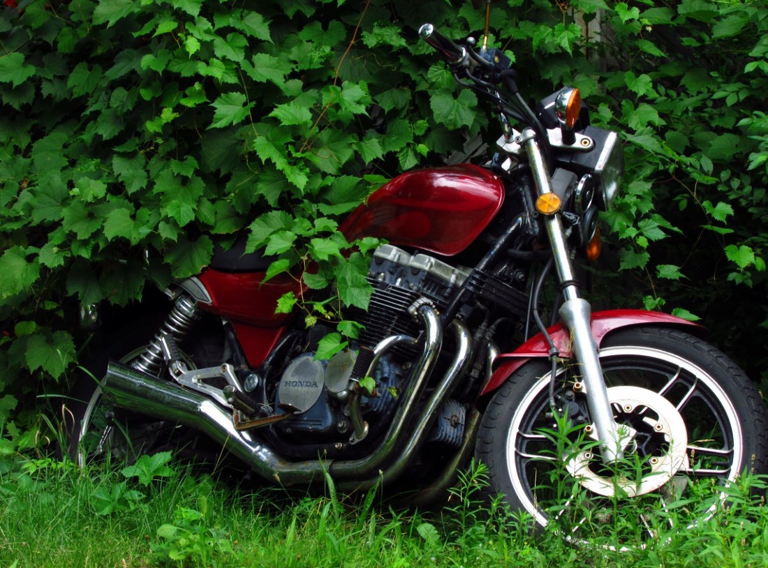 RedHondaBike_WayneMcCracken